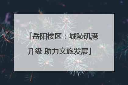 岳阳楼区：城陵矶港升级 助力文旅发展