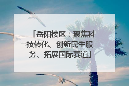 岳阳楼区：聚焦科技转化、创新民生服务、拓展国际赛道