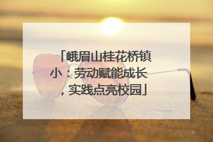峨眉山桂花桥镇小：劳动赋能成长，实践点亮校园