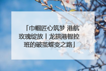 巾帼匠心筑梦 港航玫瑰绽放丨龙拱港智控班的破茧蝶变之路