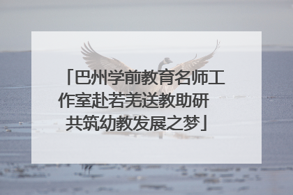 巴州学前教育名师工作室赴若羌送教助研 共筑幼教发展之梦