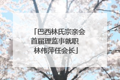 巴西林氏宗亲会首届理监事就职 林伟萍任会长