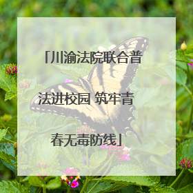 川渝法院联合普法进校园 筑牢青春无毒防线