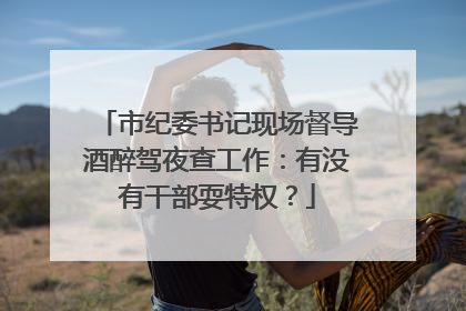 市纪委书记现场督导酒醉驾夜查工作：有没有干部耍特权？