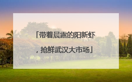 带着晨露的阳新虾，抢鲜武汉大市场