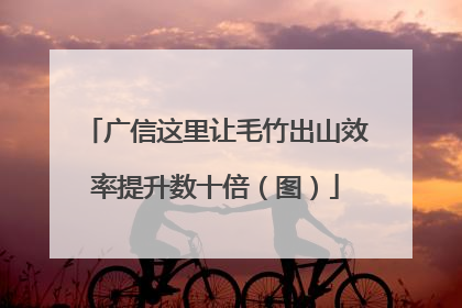 广信这里让毛竹出山效率提升数十倍（图）