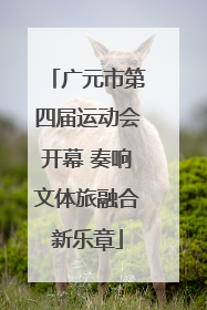 广元市第四届运动会开幕 奏响文体旅融合新乐章