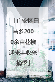 广安区白马乡2000余亩花椒迎来丰收采摘季