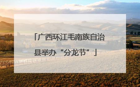 广西环江毛南族自治县举办“分龙节”