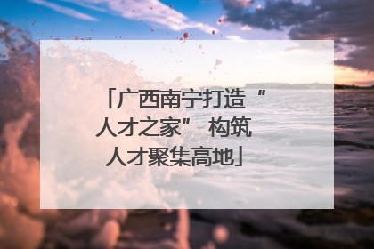 广西南宁打造“人才之家” 构筑人才聚集高地