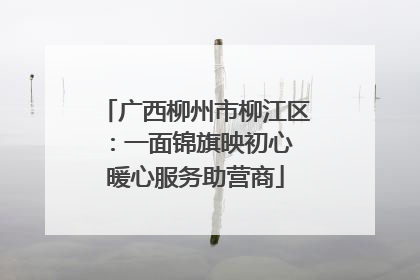 广西柳州市柳江区：一面锦旗映初心 暖心服务助营商