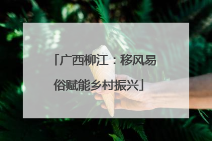 广西柳江：移风易俗赋能乡村振兴