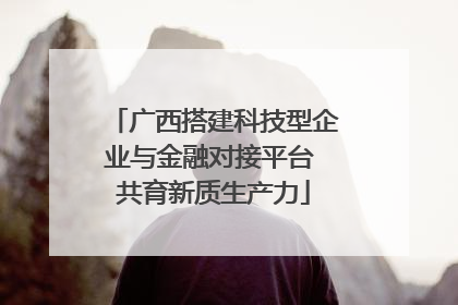 广西搭建科技型企业与金融对接平台 共育新质生产力