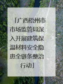 广西梧州市市场监管局深入开展建筑保温材料安全隐患全链条整治行动