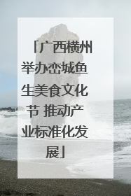 广西横州举办峦城鱼生美食文化节 推动产业标准化发展
