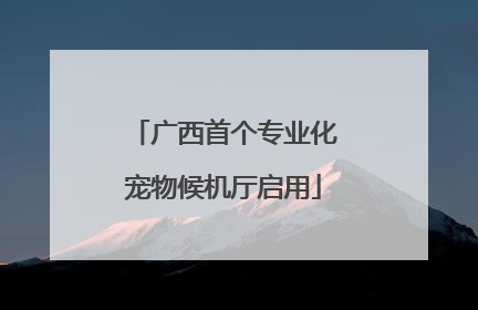 广西首个专业化宠物候机厅启用