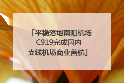 平稳落地南阳机场 C919完成国内支线机场商业首航
