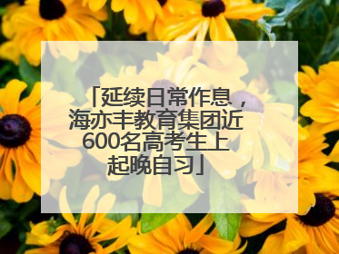 延续日常作息，海亦丰教育集团近600名高考生上起晚自习