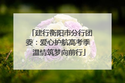 建行衡阳市分行团委：爱心护航高考季 温情筑梦向前行