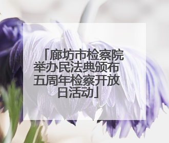 廊坊市检察院举办民法典颁布五周年检察开放日活动