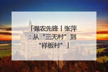 强农先锋丨张萍：从“三无村”到“样板村”