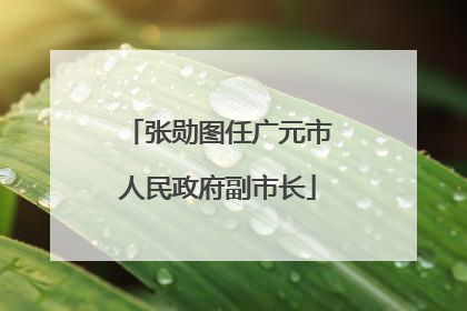 张勋图任广元市人民政府副市长