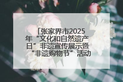 张家界市2025年“文化和自然遗产日”非遗宣传展示暨“非遗购物节”活动在慈利县盛大启幕