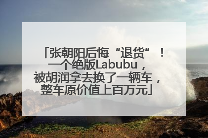 张朝阳后悔“退货”！一个绝版Labubu，被胡润拿去换了一辆车，整车原价值上百万元