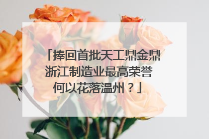 捧回首批天工鼎金鼎 浙江制造业最高荣誉何以花落温州？