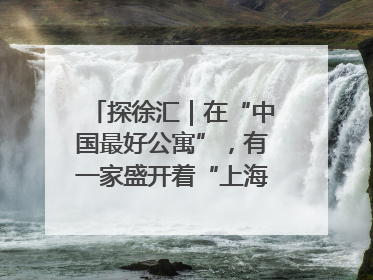 探徐汇｜在“中国最好公寓”，有一家盛开着“上海玫瑰”的书店