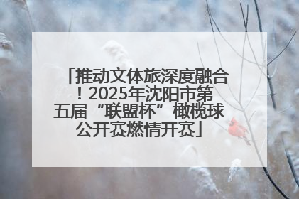 推动文体旅深度融合！2025年沈阳市第五届“联盟杯”橄榄球公开赛燃情开赛