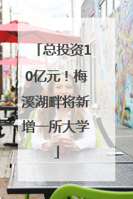 总投资10亿元！梅溪湖畔将新增一所大学