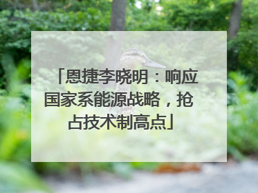 恩捷李晓明：响应国家系能源战略，抢占技术制高点