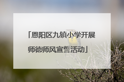 恩阳区九镇小学开展师德师风宣誓活动