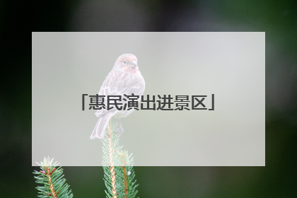 惠民演出进景区