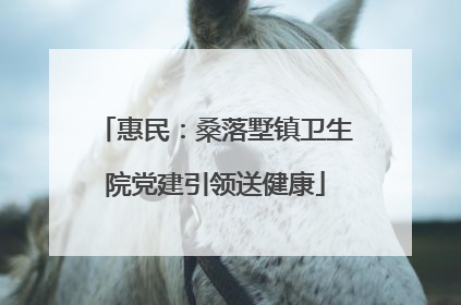 惠民：桑落墅镇卫生院党建引领送健康