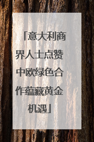 意大利商界人士点赞中欧绿色合作蕴藏黄金机遇