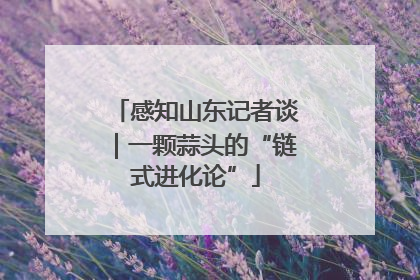 感知山东记者谈｜一颗蒜头的“链式进化论”
