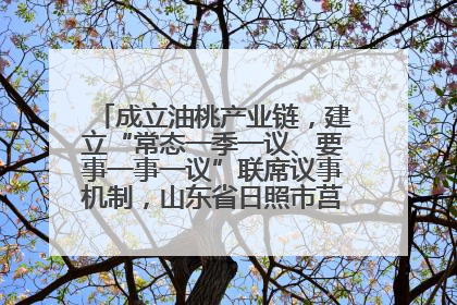 成立油桃产业链，建立“常态一季一议、要事一事一议”联席议事机制，山东省日照市莒县果庄镇——13个党小组“全周期”育果