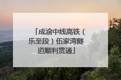 成渝中线高铁（乐至段）伍家湾隧道顺利贯通