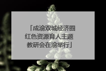 成渝双城经济圈红色资源育人主题教研会在渝举行