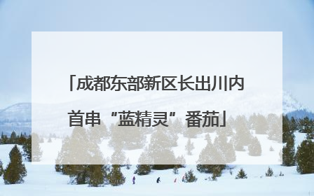 成都东部新区长出川内首串“蓝精灵”番茄