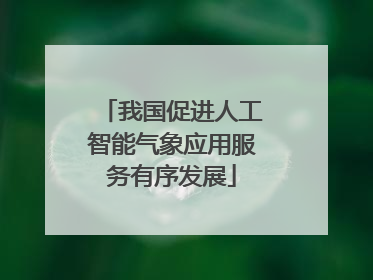 我国促进人工智能气象应用服务有序发展
