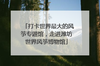 打卡世界最大的风筝专题馆，走进潍坊世界风筝博物馆