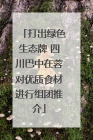 打出绿色生态牌 四川巴中在蓉对优质食材进行组团推介