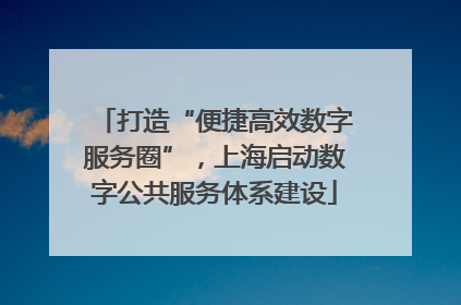 打造“便捷高效数字服务圈”，上海启动数字公共服务体系建设