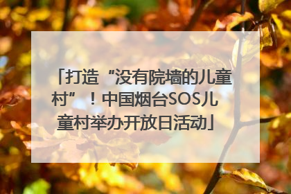 打造“没有院墙的儿童村”！中国烟台SOS儿童村举办开放日活动