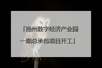 扬州数字经济产业园一期总承包项目开工