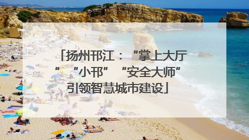 扬州邗江：“掌上大厅”“小邗”“安全大师”引领智慧城市建设