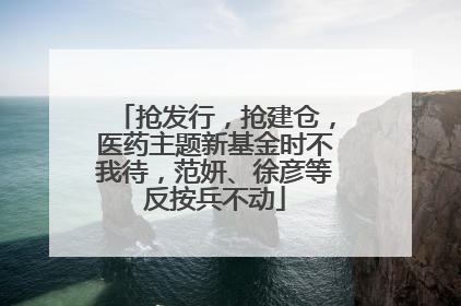 抢发行，抢建仓，医药主题新基金时不我待，范妍、徐彦等反按兵不动